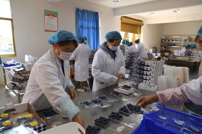 会东县姜州镇蓝莓产业园:抓实疫情防控搞好农业生产